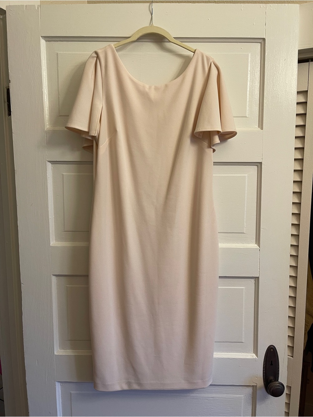 Calvin Klein Blush Cream Midi Dress with Flutter Overlay